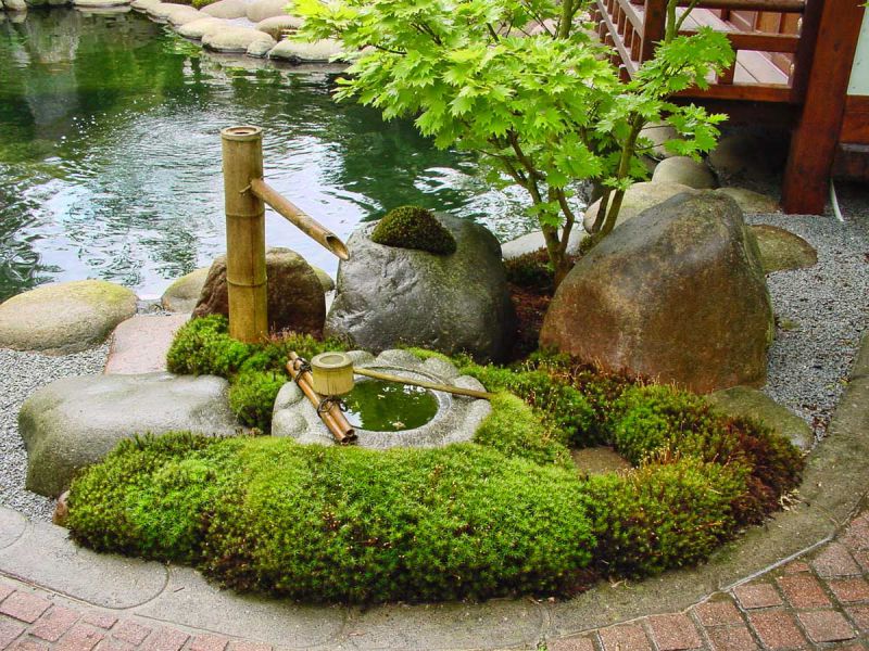 Thiết kế tiểu cảnh sân vườn - tiểu cảnh nước Nhật Bản